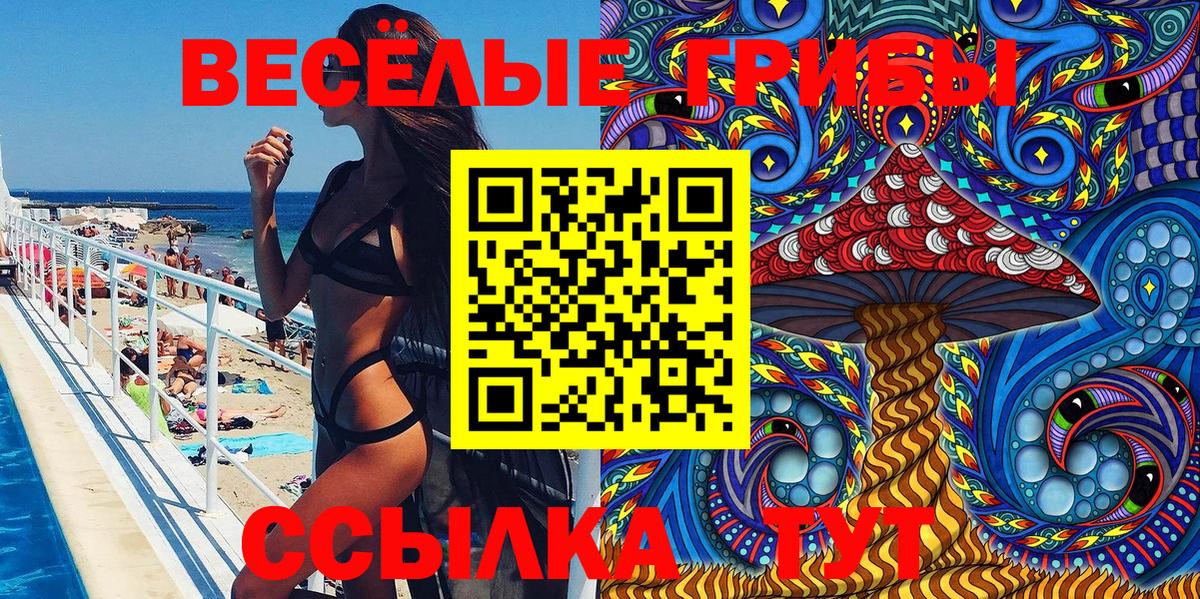 Каменск-Шахтинский  Галлюциногенные грибы ЛСД  Вход с VPN 